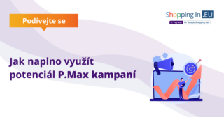 Jak naplno využít potenciál P.Max kampaní